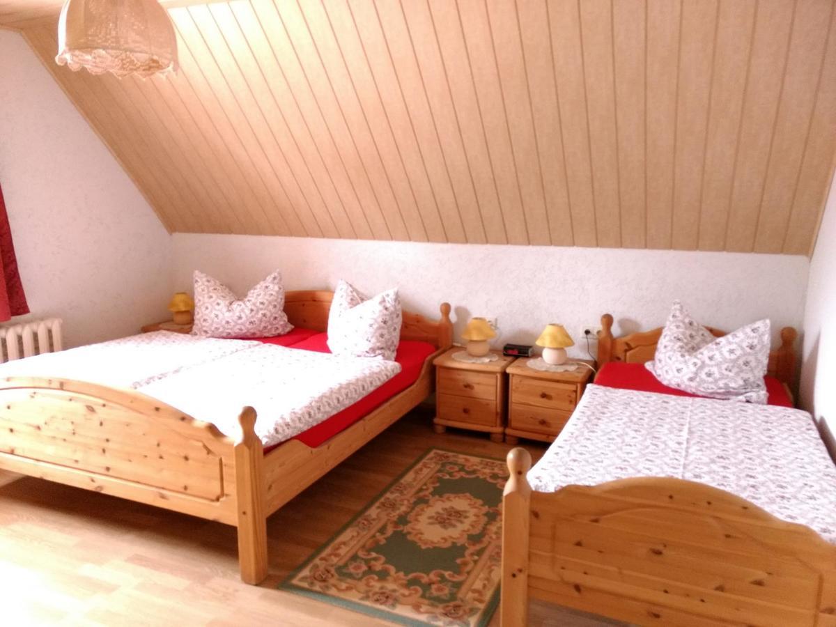 Ferienwohnung Petzold Altenberg  Extérieur photo